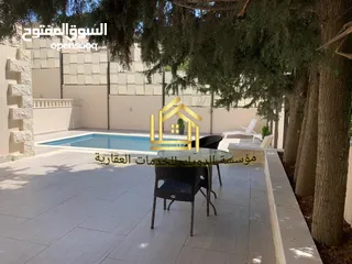  9 فيلا مفروشة سوبر ديلوكس اعلان رقم (V60)