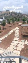  5 بيت مع حديقة كبيرة