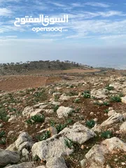  9 14 قطعة أرض في أجمل مناطق كفرنجه في عجلون