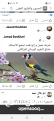  1 مطلوب طيره حسن تكون شغاله