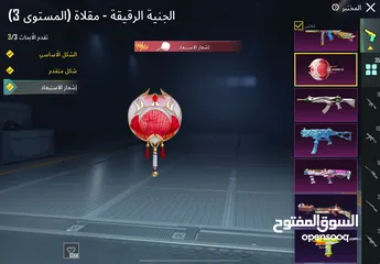  10 حساب ببجي للبيع شوف الوصف من برا الاردن لا تبعث