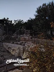  23 ارض للبيع مساحة4300م وعلى الواقع 12دونم تصلح بيت ريفي شاليه ارض زراعيه ويوجد فيها بيت قيد الانشاء