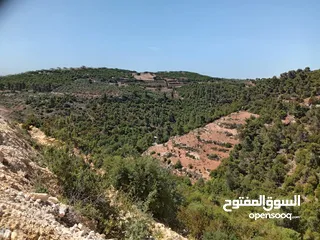  1 ارض ذات اطلاله ب اجمل جبال جرش بسعر مغري جداً 3900