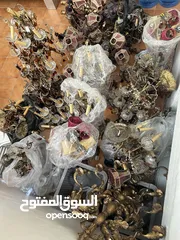  1 كنب انتيكا وشمعداناات