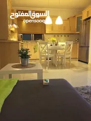  1 شقه مفروشه للايجار في عين منحد