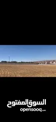  13 ارض سكن خاص مساحة واسعه (1271 م)  منطقة فلل وقصور ملاصقة لفلل الاندلسية _ جنوب عمان _شارع مادبا