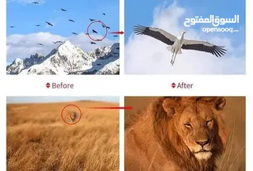  13 منظار احادي النسر