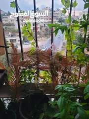  1 شقه للبيع او البدل