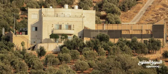  15 مزرعة طلة الزيتون للايجار اليومي في عمان