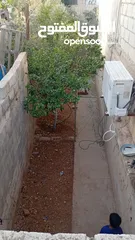  6 بيت مستقل طابقين