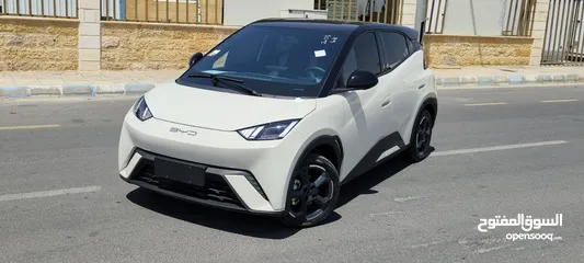  2 BYD SEAGULL 2023