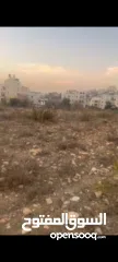  1 ارض للبيع طابو سلطه في منطقه  ديرابزيع مساحه 5دونم و300 متر ع شارع زفته