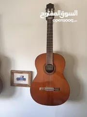  1 Cordoba C5 Nylon String Guitar
