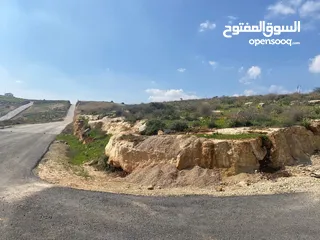  1 قطعة ارض للبيع في أجمل مناطق بيرين ( اعلى قمة )  فرصة العُمر في مشروعنا في بيرين