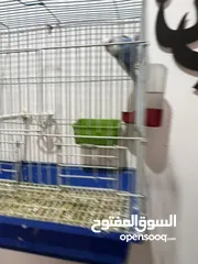  1 جوز كوكتيل +جوز حب