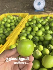  2 يتوفر نبق للبيع الكيلو ب800 ميه