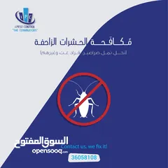  7 Best Offer - Pest Control Service - i Pest Control Bahrain