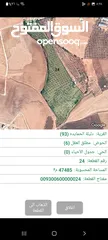  7 مزرعة زيتون للبيع