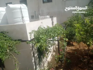  23 منزل مستقل جرش اسكان عجرمه  3غرف نوم 2حمام  صاله مع مطبخ امريكي  بلكونه  حديقه مساحه الارض 305