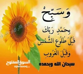  3 سفاري اريحا