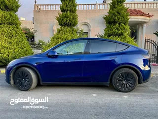  2 Tesla Model Y Dual Motor