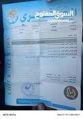 11 مرسيدس سيتان بنزين 2019 للبيع