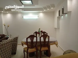  1 شقه مفروشه تؤجر شهرياً