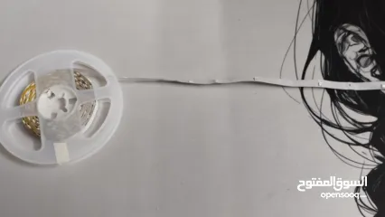  1 ليد rgb طول 13 متر مع الكونترولار الخاص به  اضاءة قوية و متانة