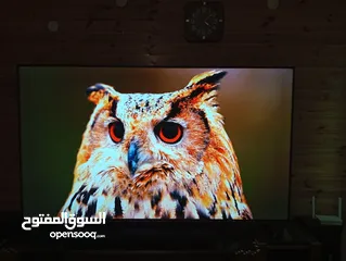  1 شاشه نوع  ماجيك 75بوصه فل سمارت  نادي السباق ويوجد شاشه نوع سامسونج 65وكالة
