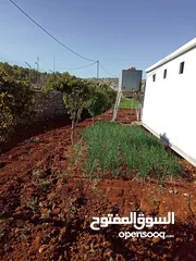  20 مزرعه للبيع في منطقة عجلون عبين داخل التنظيم مساحتها 10 دونمات