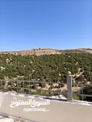  14 شاليه او استراحه  لقطه بسعر مغري