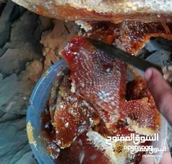  15 بيع منتجات عمانيه اصليه من العسل جبلي ولبان والبخور