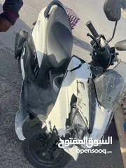  1 بيرجمان 2023