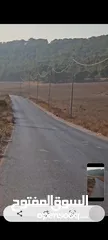  2 ارض للبيع في طوباس طابو سلطه المساحه  200دونم تصنيف الف