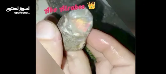  2 حجر اوبال نوع قوس قزح النادر حجر الاوبال الكريم فاير قوي جدا متعدد الألوان فاير احمر الأكثر ندرة