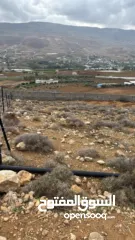  2 ارض مميزه للبيع في منطقة النصاريه  تصلح لبناء شليه سباحي