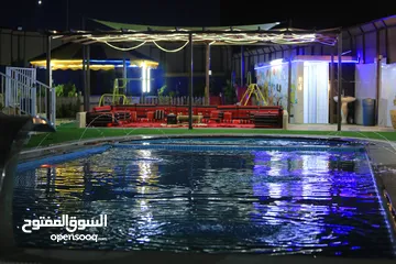  1 مزرعه العز طريق الزرقاء جرش