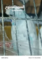  7 جوز حب شغالات ومنتجات الفحل كرست الوان حلوه كان تحتيهم 3 بيضات وتكسروا بالغلط عند النقل وحاليا بجهزو