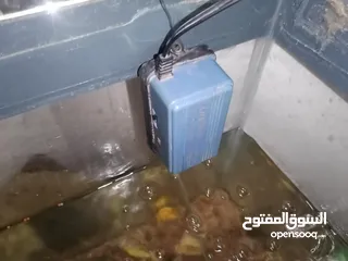  2 حوض سمك للبيع بسعر حرق مع الفرتلر