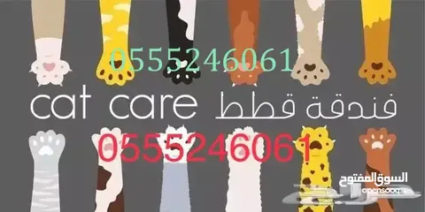  3 فندقة قطط وطيور 61 60 24 0555 وقت سفركم - الرياض