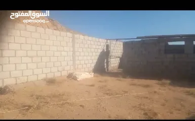  1 ارض للبيع في دبة حانوت تبعد عن مدينة العقبه 40 دقيقه