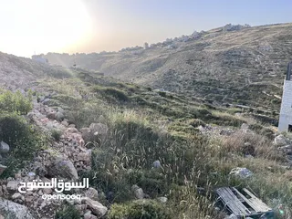  6 متوفر عده اراضي للبيع في قريه تل
