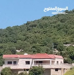  1 فيلا مستقلة مفروشة للايجار اليومي أو الاسبوعي أو الشهري  مطلة على جبال اشتفينا وعجلون عائلات فقط