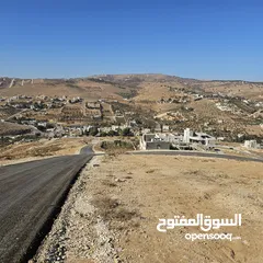  1 ارض مميزة ذات اطلالة بنوراما في أجمل مواقع حوض القصبات بيرين بجانب شفا بدران على قمة جبل بجانب فلل