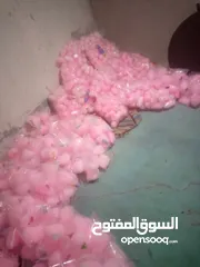  2 مشروع ماكينه شعر بنات