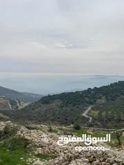 25 أرض ممتازة في جرش للسكن و للزراعة بقرب أحراش الدولة و سعر مغري  للمزيد من المعلومات اقرأ الوصف