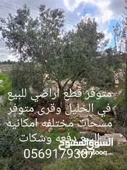  2 متوفر قطع اراضي للبيع مساحات مختلفه واسعار مختلفه