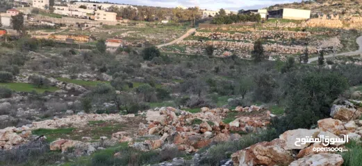  11 800متر طابوا فلسطيني في اجمل موقع بالكفريات واطلالة مميزةمنطقة( b)صالحة للبناء