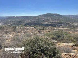  2 أراضي بمساحات متنوعه للبيع تصنيف A طابو فلسطيني