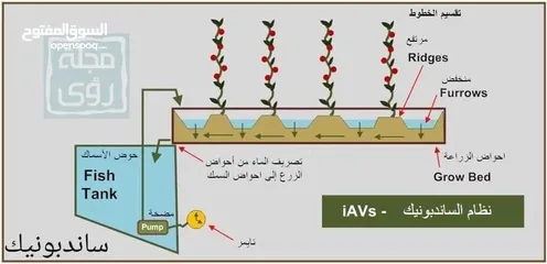  6 حوض سمك فايبر جلاس